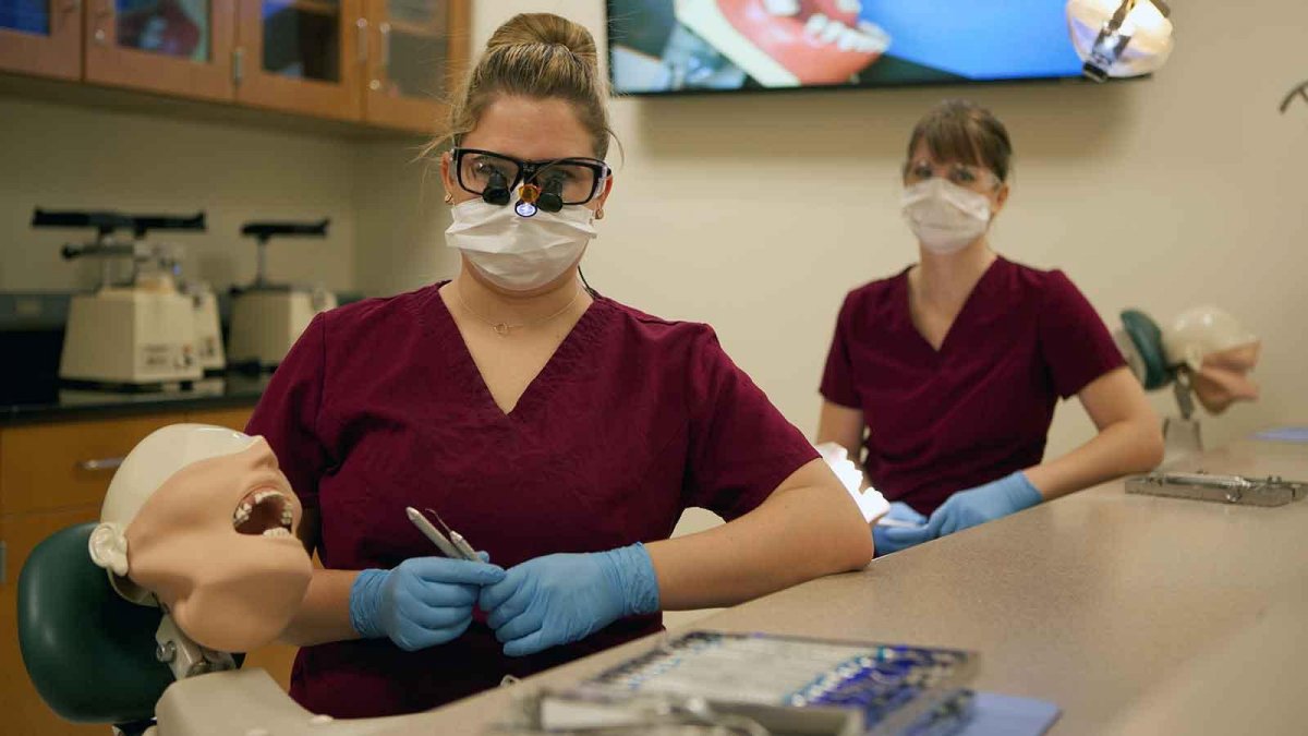 Dental students in the lab