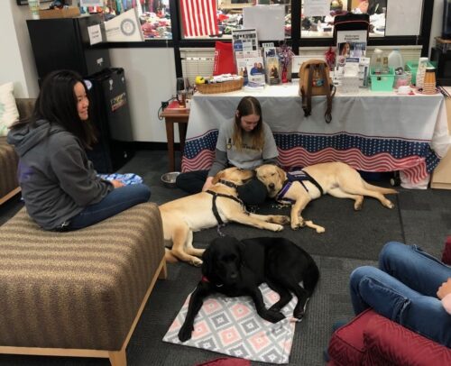 Mami Ikenoue (left) and Nancy Newman from Paws for Purple Hearts brought three dogs with them to campus last week