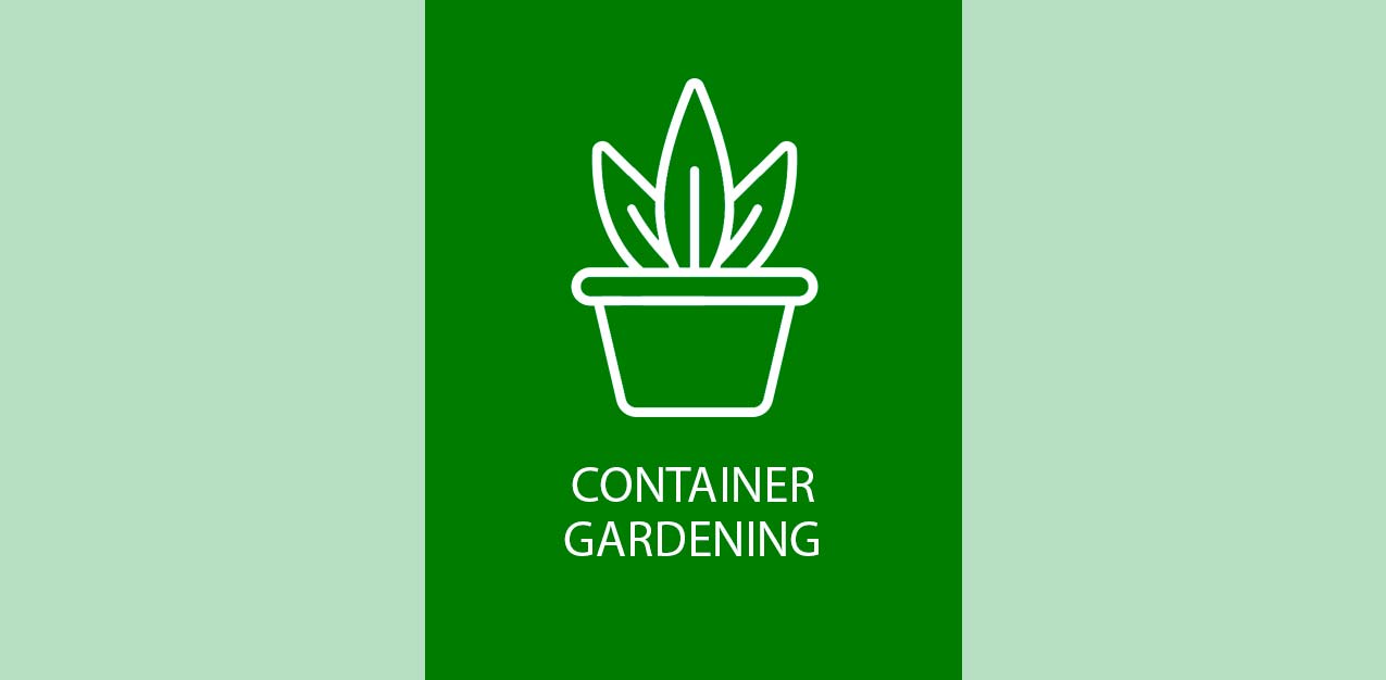 Container Gardening at Historic Triangle Campus