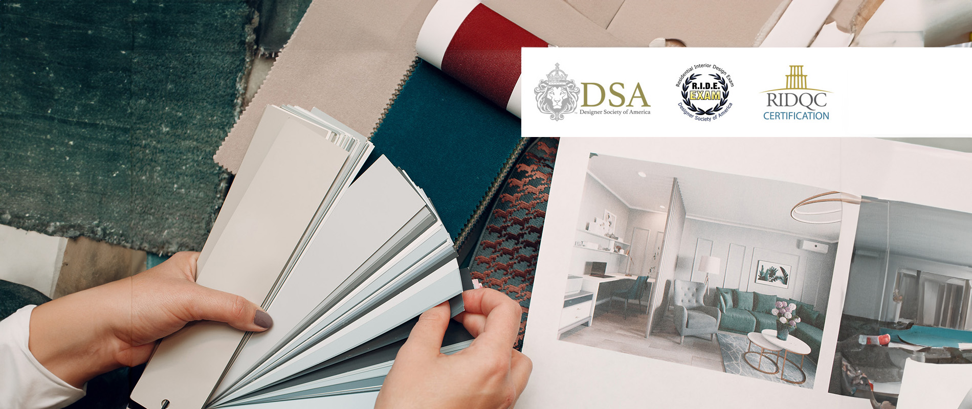 A designer examining a color palette